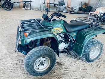 quad puma 250