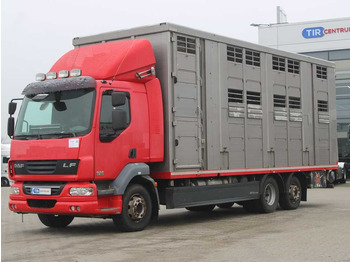 Veetransport lastbil DAF LF 55 280