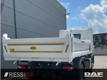 Leje en DAF XDc 450 SpurH KAM  DAF XDc 450 SpurH KAM: billede 4