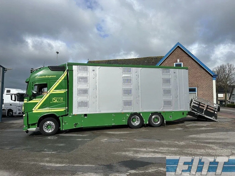 Veetransport lastbil Volvo FH FH 540 6x2 1/2/3 Finkl Livestock -- Water and Ventilation - Lifting roof - Lifting floors + Trailer 1/2/3 Finkl: billede 12